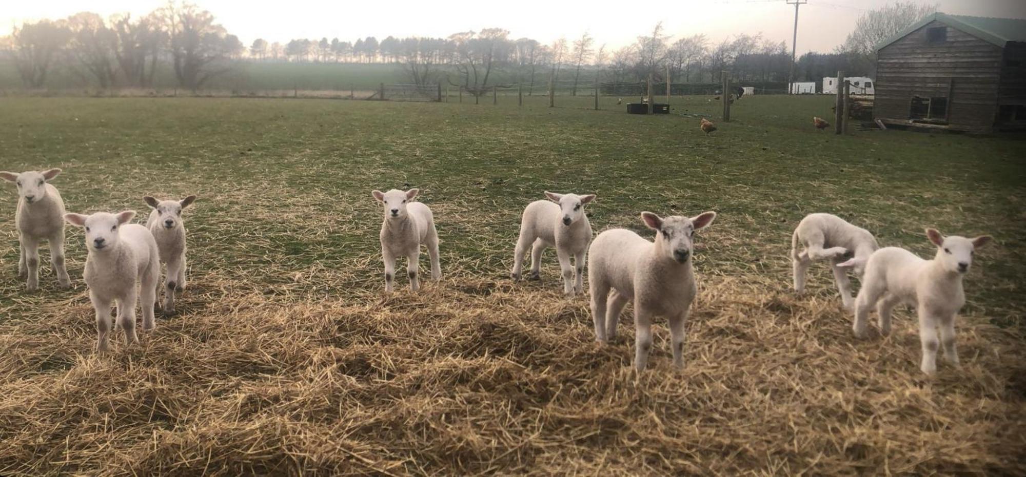 The Farm Burscough 빌라 외부 사진